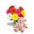 Gerbera Bouquet with Teddy